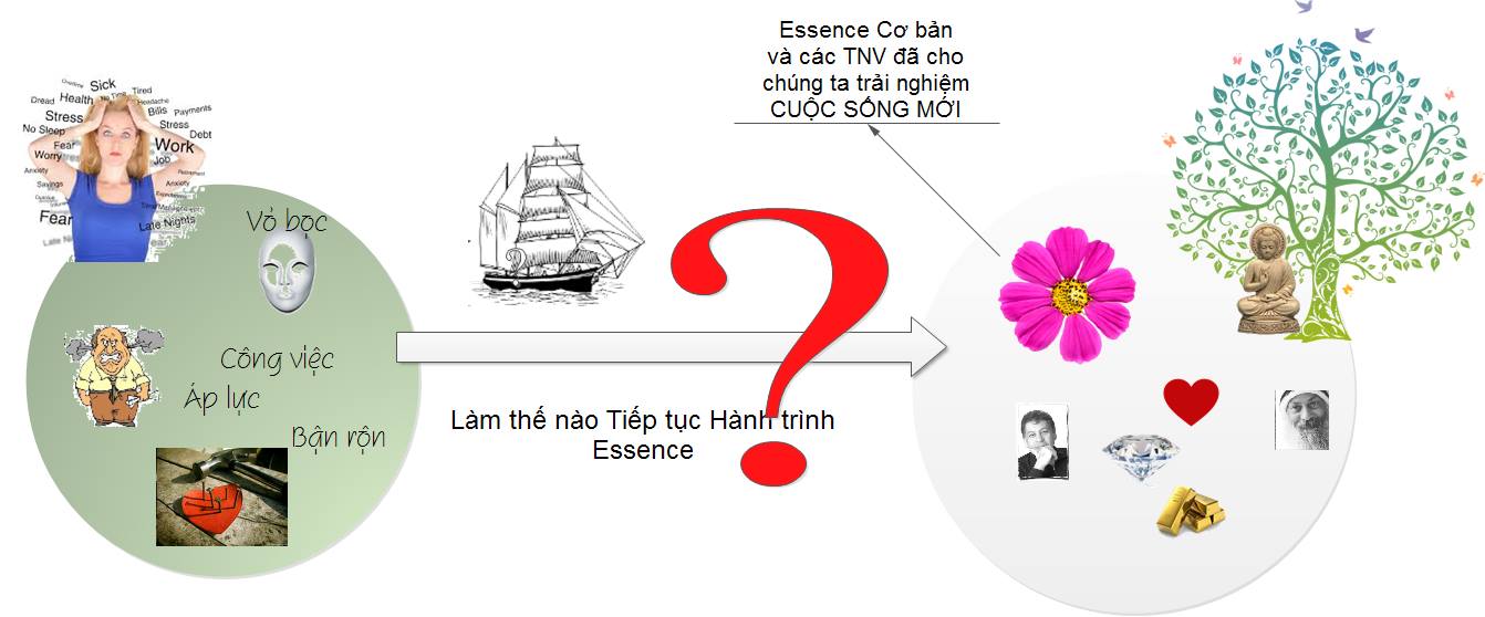 Hanh-trinh-Essence--chi-thuc-su-bat-dau-khi-khoa-hoc-ket-thuc-22